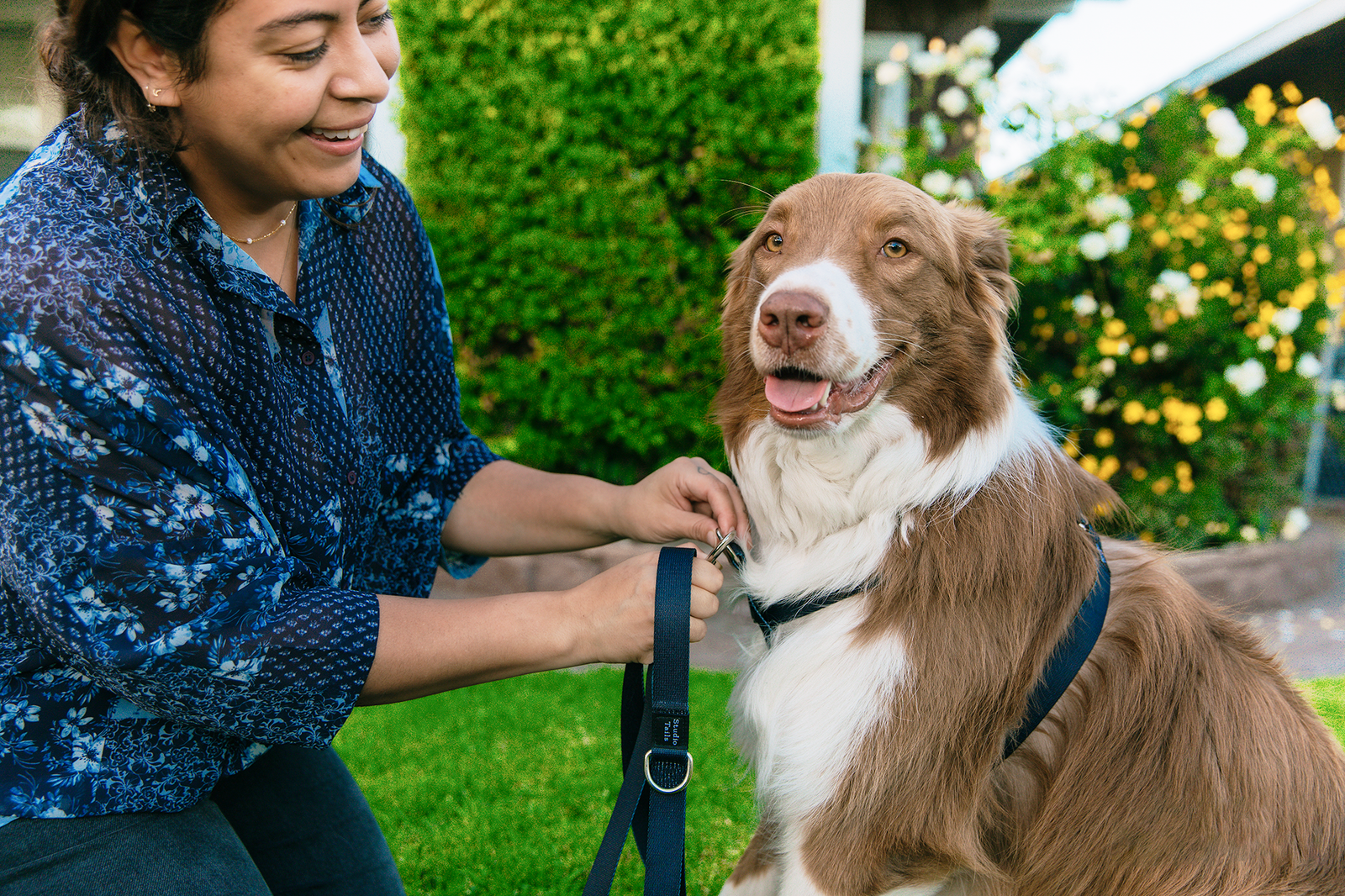 Leading the Way in Eco-Friendly Dog Gear on Earth Day and Every Day