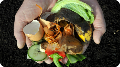 Composting 101: Top 5 Tips to Have Perfect Compost All Year
