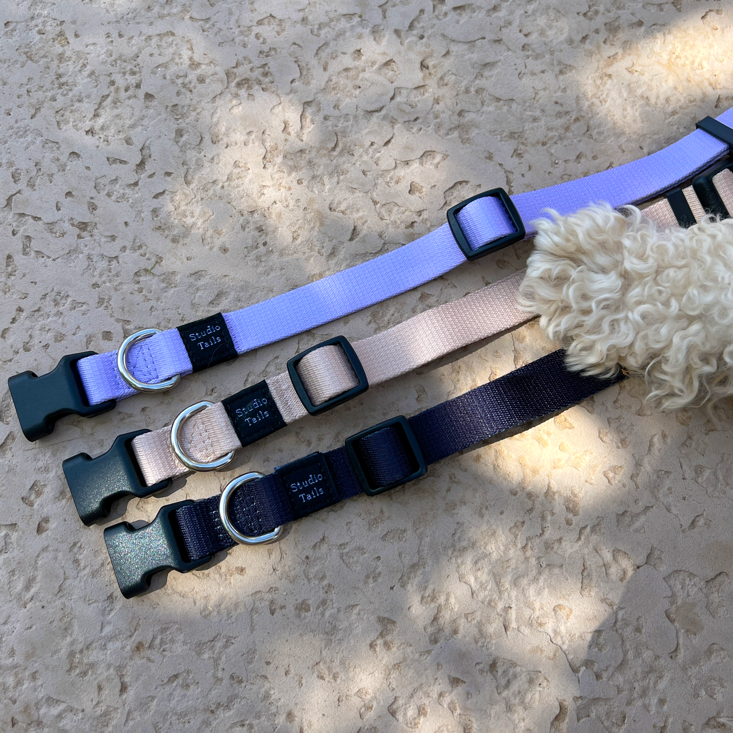 Best Sellers 🐶