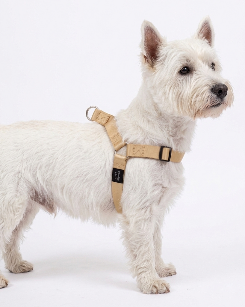 Beige Harness | Dog Harnesses | Studio Tails
