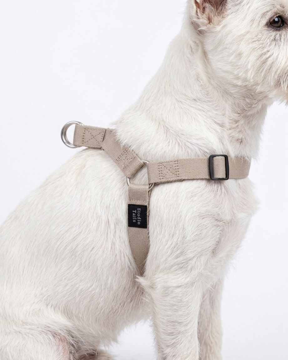 Cool Gray Harness