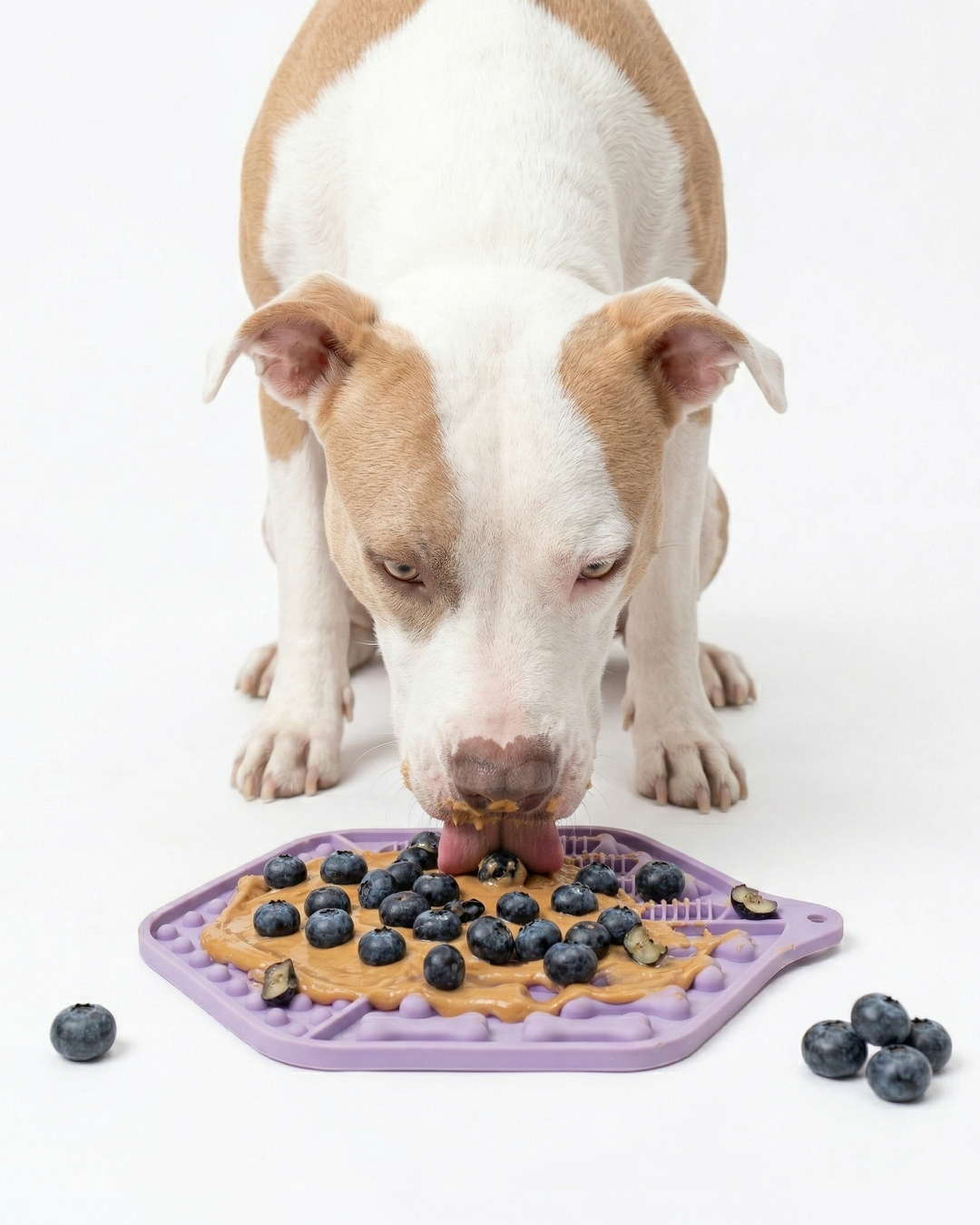 Lavender Lick Mat Set