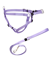 Lavender Harness Walk Set