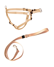 Beige Harness Walk Set