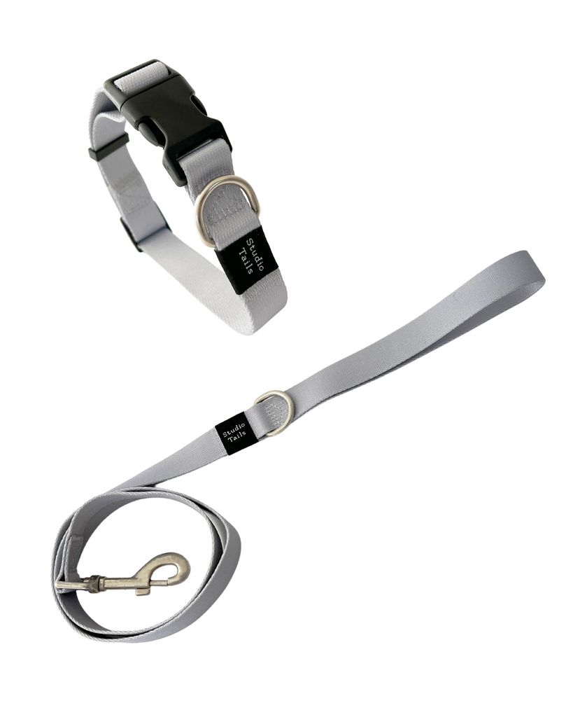 Cool Gray Collar Walk Set | Dog Walking Sets | Studio Tails